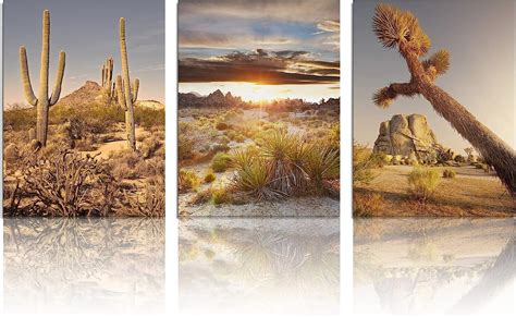 3 PCS Canvas Wall Art Print Joshua Tree National Park Poster Southwest ...