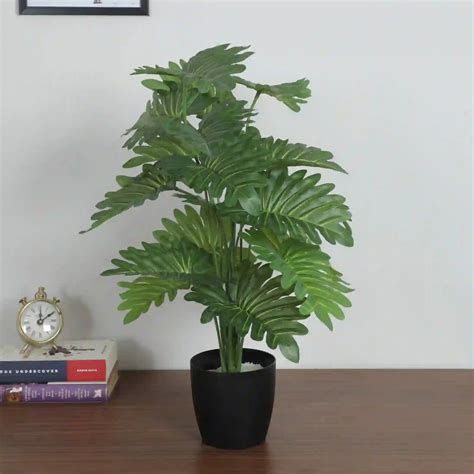 Guiana Chestnut Plant for Interior Styling - Artificial Plant – Ikkasa