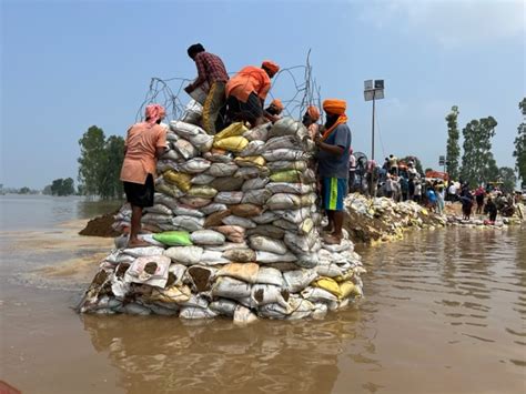 Punjab: AAP MP Baba Seechewal Leads Volunteers in Plugging Breaches in ...