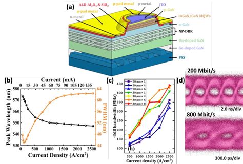 Micro LED Array 的图像结果