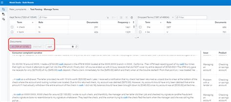 Sentiment Text Analytics SAS Visual Example 的图像结果