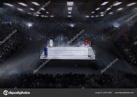 Boxing Concert 的图像结果