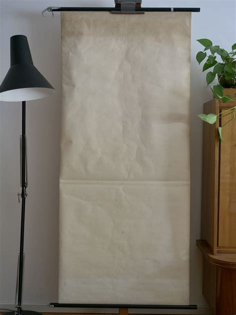 Vintage MUSCLES Front School CHART 60s Original Educational Chart Dr Te Neues - Etsy Australia