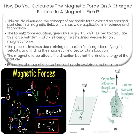 Image result for Magnetic Force Explained