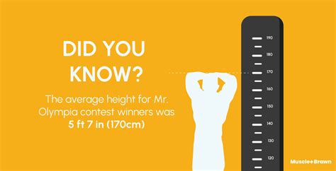 Image result for Size Difference Between Bodybuilder and Normal Man