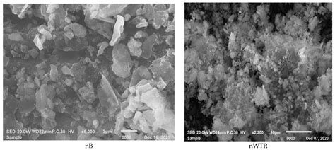Properties of Recycled Nanomaterials and Their Effect on Biological ...