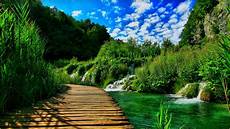 Nature Wallpaper Free For Mobile by 3d Hd Nature Wallpapers For Mobile Nature Wallpaper Free For Mobile