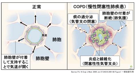 Image result for Mapreducef Algorithm