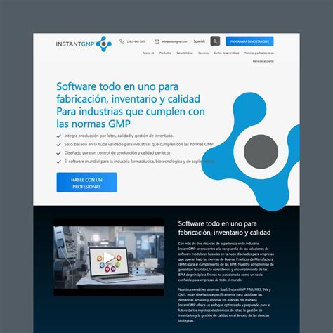 Website In Spanish