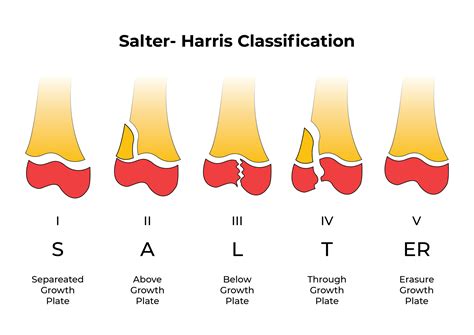 Wrist Examination & Pathology Module