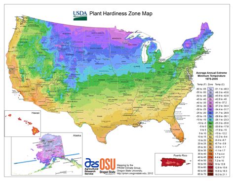 Usda Hardiness Zone 9B Plants at Joy Lyons blog