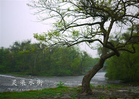 黄河文化：中华民族之根 _光明网