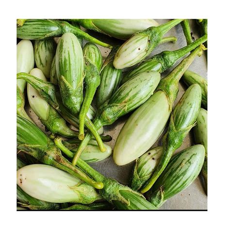 Thai frog finger eggplant | O' naturale
