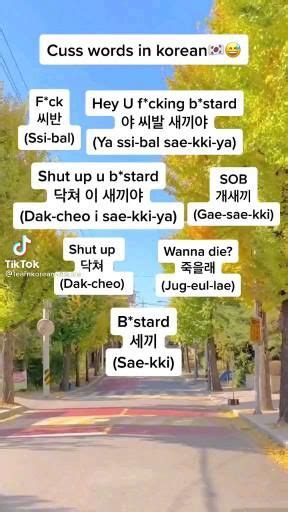 Learn korean cuss words [Video] | Easy korean words, Korean words ...