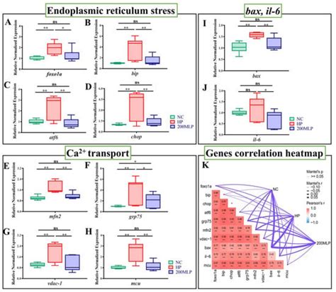 Mulberry Leaf Polysaccharides Attenuate Oxidative Stress Injury in ...