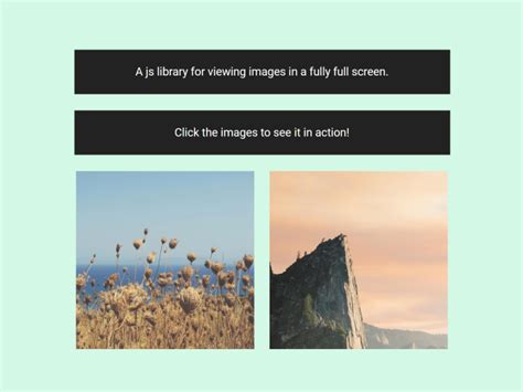 Image result for On Backdrop Click JavaScript Onclick