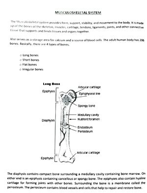 Endocrine system - Good - ENDOCRINE SYSTEM Endocrine system is a ...