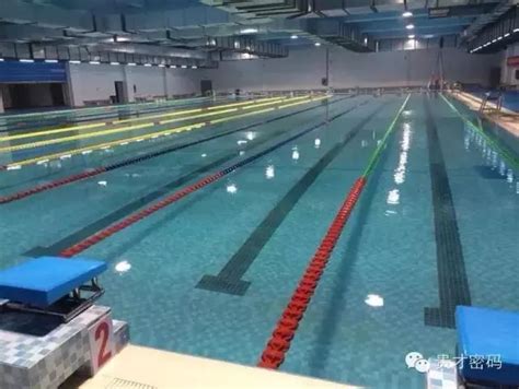 体育馆 的图像结果