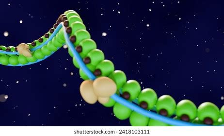 Image result for Actin Polymerization Process