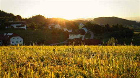 乡村壁纸 的图像结果