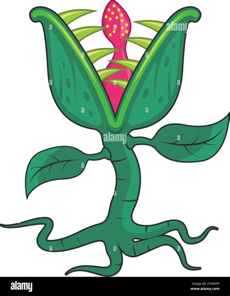 Carnivorous plants vector vectors Stock Vector Images - Alamy