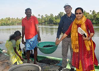 Successful demonstration of pen culture as climate resilient technology ...