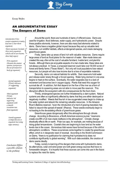 Argumentative Essay Quotes