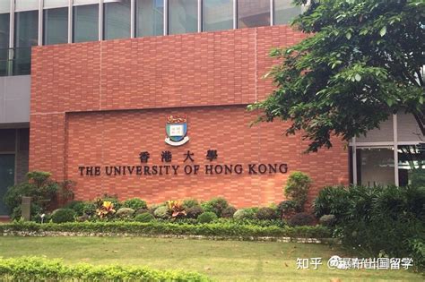 香港大学环球管理学硕士申请要求及录取案例|跨国公司|香港大学|管理学_新浪新闻