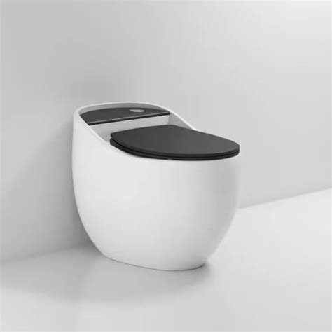 Clay Plus Premium Ceramic Rimless One Piece Western Toilet/Commode With ...