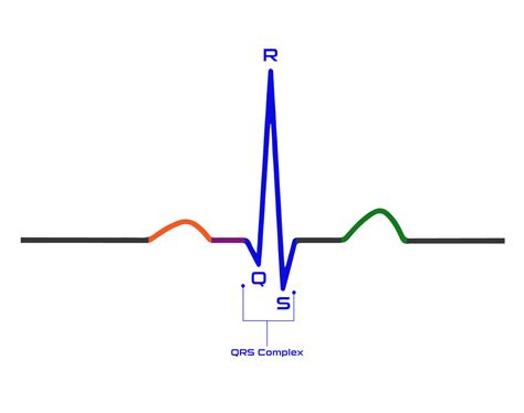 How To Read An Electrocardiogram (EKG/ECG) | SureFire CPR