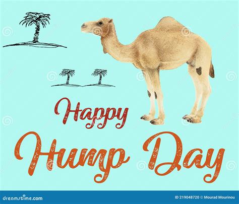 Hump Day Wednesday Camel