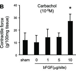 Image result for Muscle Fiber Contraction Experiment