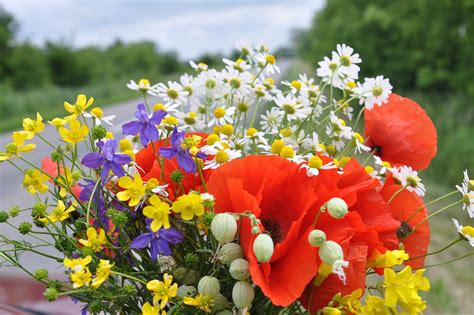 Image result for Works Management System Examples