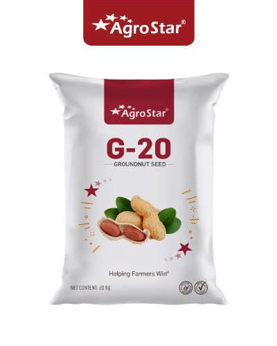 AgroStar Agrostar G-20 Groundnut (20 Kg) Seed - Agrostar