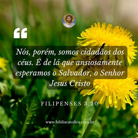 Abismo - Bíblia Católica Online