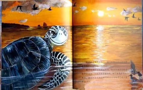 有声绘本：《小海龟的勇敢旅程》让孩子学会独立_妈妈