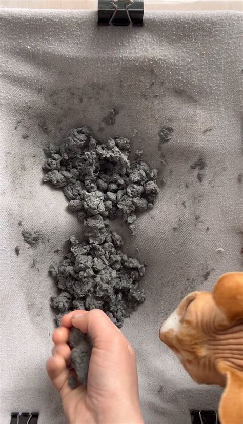 Image result for Make Paper Pulp