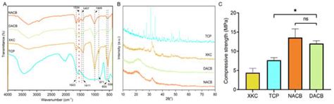 Decellularized Antler Cancellous Bone Matrix Material Can Serve as ...