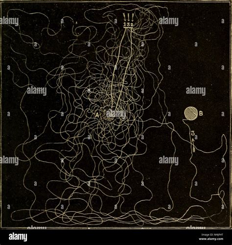 This 1890 work records detailed observations on the social behaviors of ants, bees, and wasps ...