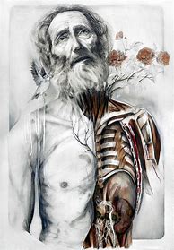 Image result for Anatomy for the Artist