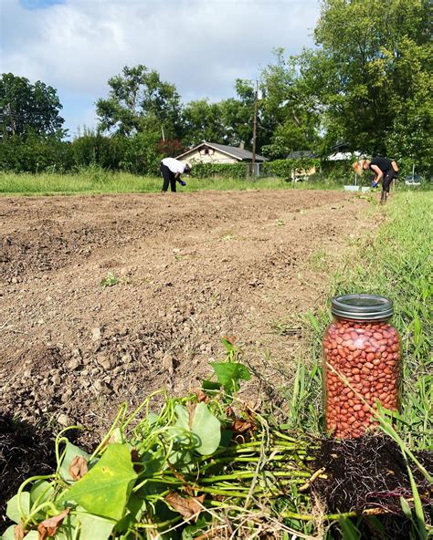 Jones Valley Teaching Farm Archives - BirminghamWatch