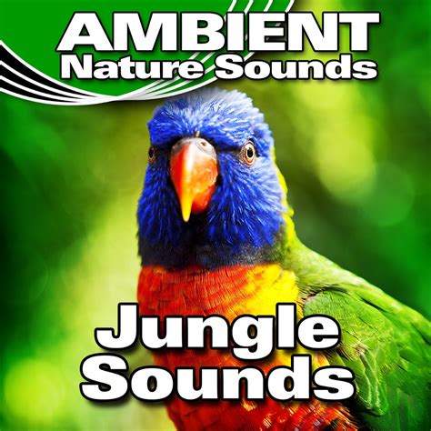 Alien Jungle Sounds 的图像结果