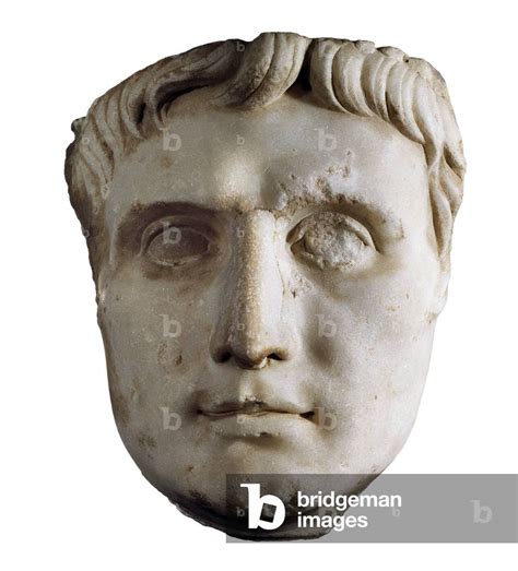 Octavian Augustus Drawing 的图像结果