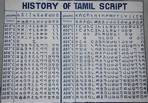 Image result for Tamil Script Writing