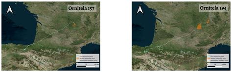 High Variability and Dual Strategy in the Wintering Red Kites (Milvus ...