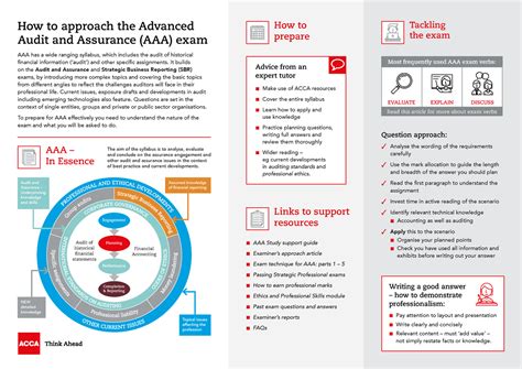 Image result for AAA Paper Example
