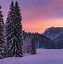 Image result for Beautiful Snow Forests