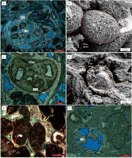 Minerals | Special Issue : Mineralogy, Petrology, Geochemistry and ...