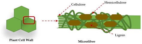 Bricks Using Clay Mixed with Powder and Ashes from Lignocellulosic ...