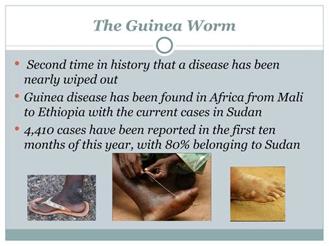 Guinea Worm | PPT